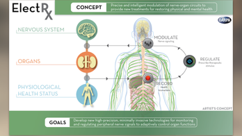 Tiny implants could give humans self-healing superpowers