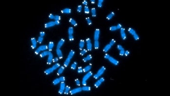 Large US cancer trial to match genetic glitches to targeted drugs