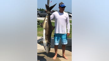 Delaware fisherman sets state record with 79-pound cobia, officials confirm