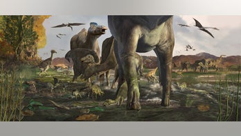 Huge trove of dinosaur footprints discovered in Alaska