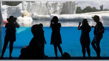 Poo power: Detroit Zoo plans biodigester to turn abundant manure from its animals into energy