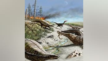 Mystery solved: Why large dinosaurs avoided the tropics for millions of years