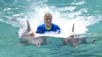 6 places to swim with dolphins
