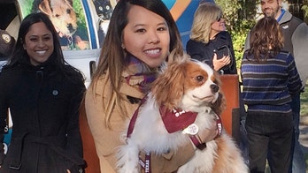 Dallas nurse who survived Ebola reunited with dog
