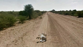 Did Google run over a donkey in Botswana?