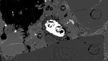 Opal-studded meteorite hints at origins of Earth's water