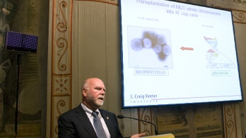 Genome scientist Craig Venter in deal to make humanized pig organs