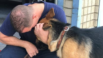Utah firefighter adopts stray dog he rescued from California wildfire