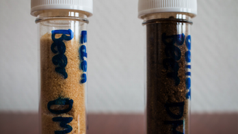 Danish brewery invents instant craft-beer powder