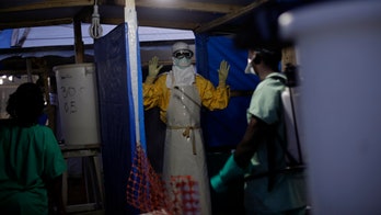 Fear of Ebola likely led to increased malaria deaths in West Africa outbreak, study says