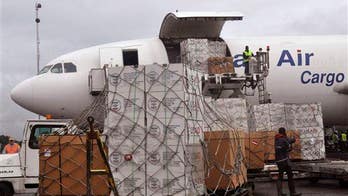 Ebola could arrive in US as soon as this month, study says