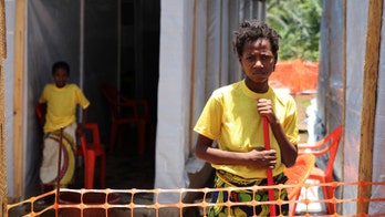 Guinea says Ebola outbreak nearly under control