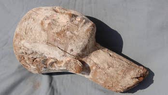 Statue of Egyptian queen unearthed near Giza pyramids