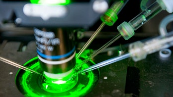 Europe plans $1.3-billion funding bonanza for science projects