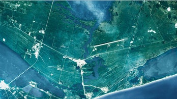 Biologists race to solve mysterious mass animal deaths in Florida lagoon