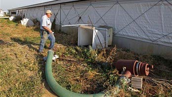 Father, son lose lives to manure pit's deadly gases