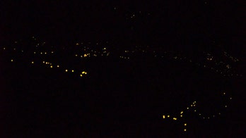 Thousands of fireflies light up US national parks with 'magical' synchronized mating ritual