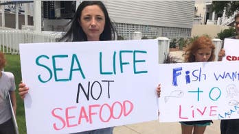 Vegan activists protest North Carolina fishing tournament