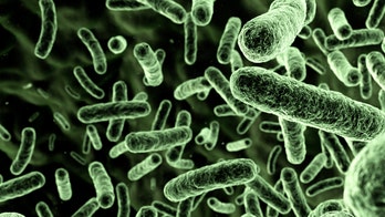 How do you know if your cut has flesh-eating bacteria?