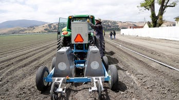 Judge halts Biden's race-based aid for farmers, says challenge is 'likely to succeed'