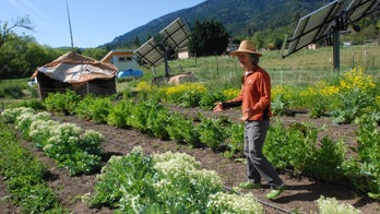 Battle over genetically modified foods growing in Oregon