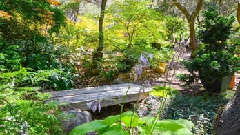 Tranquility in the Hills: Tiny House Among the Trees in Sonoma County