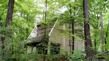Frank Lloyd Wright-Inspired 'Treehouse' in Pennsylvania Up for Grabs at $595,000