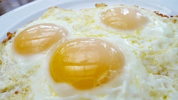 'This is your brain on drugs' guy is for legalizing pot