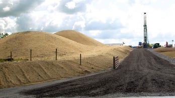 CO2 emissions in US drop to 20-year low; some experts optimistic on global warming