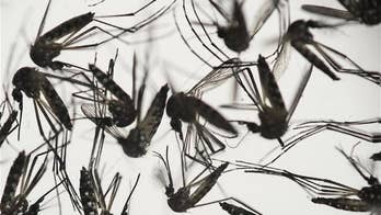 Getting a Zika shot may soon be the new normal