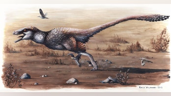 One of the biggest raptors known to man was found in South Dakota