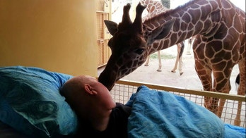 Giraffe 'kisses' goodbye dying zoo worker in touching photograph