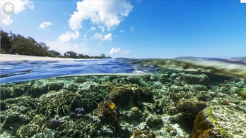 Google releases 'underwater street view' of Great Barrier Reef, more