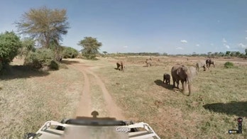 You can now go on a Kenyan safari thanks to Street View