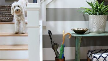 Tips to Clear Clutter and Create a Happier Home