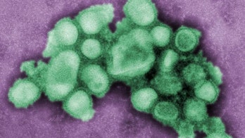 Swine flu infected 1 in 5, death rate low, study shows