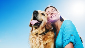 What your dog’s breed says about you