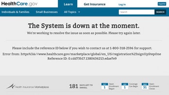 $93M ObamaCare website may face months of glitches, experts warn