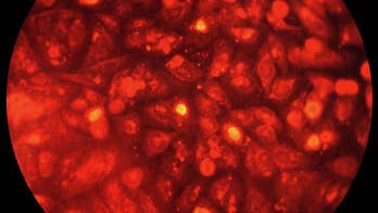 Henrietta Lacks' controversial cells get new protection under NIH