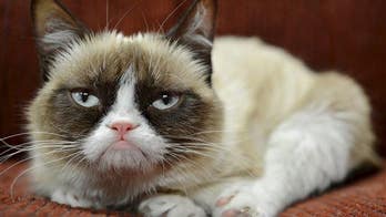 Here's how 10 happy friends can alter your depression