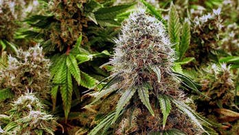 Here's what a legal pot habit typically costs