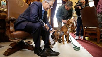 Dog who protected trapped friend honored by Washington governor
