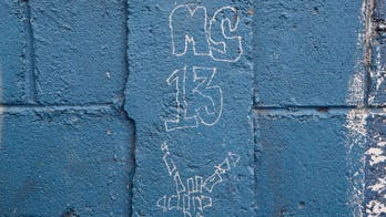 MS-13 member pleads guilty to gruesome Boston-area playground murder: prosecutors