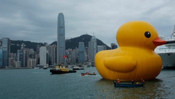 Six-story-high rubber duck making a splash in Hong Kong harbor