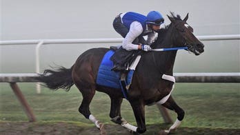 Equine Herpes Outbreak Hits Western U.S. States