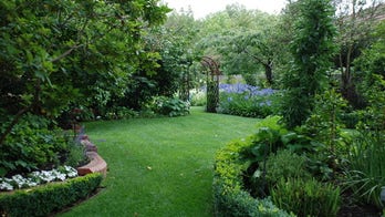 How to work with a landscape pro