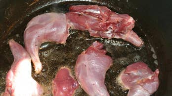 Rabbit and Squirrel Gumbo