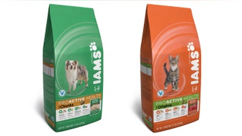 Dog and cat food recalled over salmonella concerns