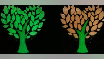 Beetle-inspired ink may thwart counterfeiters