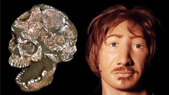 Oldest cold case: face of man killed in 1624 recreated